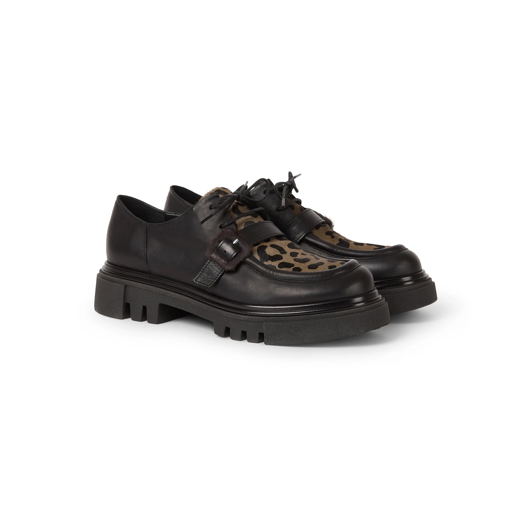 Leopard Buckle Loafer in Norton