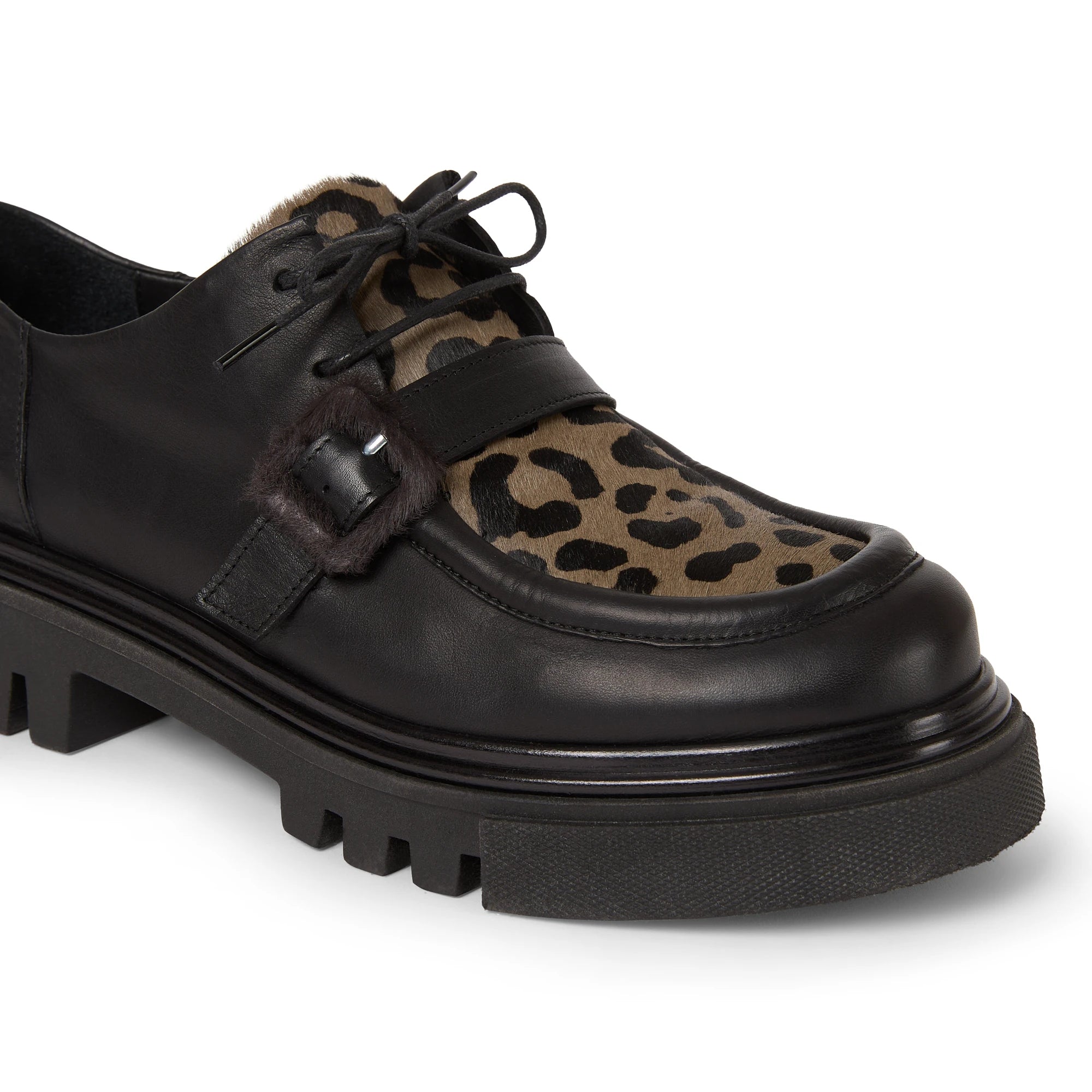 Leopard Buckle Loafer in Norton