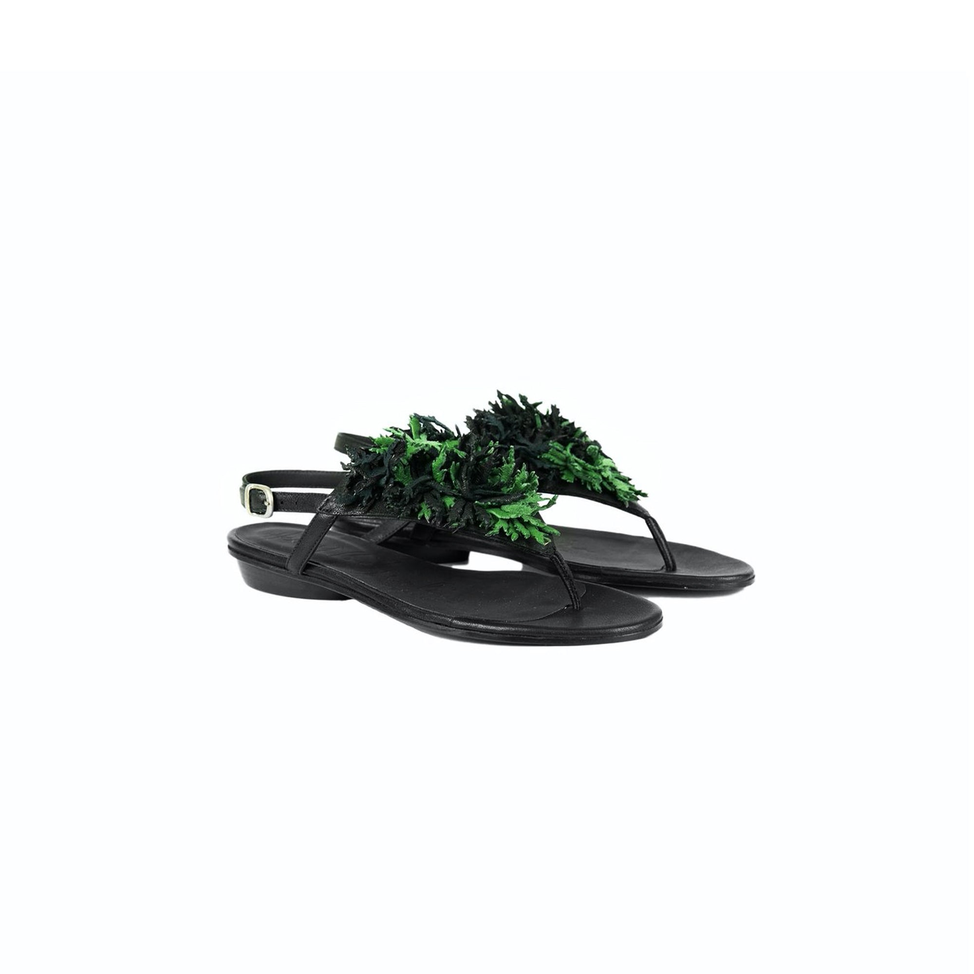 Thong Sandal Flowers Green Ranch Black